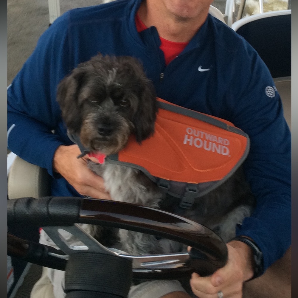 Outward Hound PFD for dogs